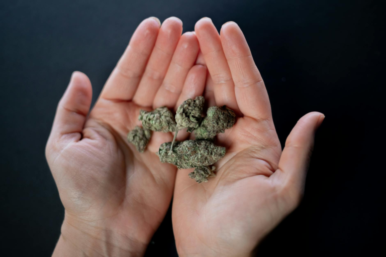 photo of dried kush on person s hands